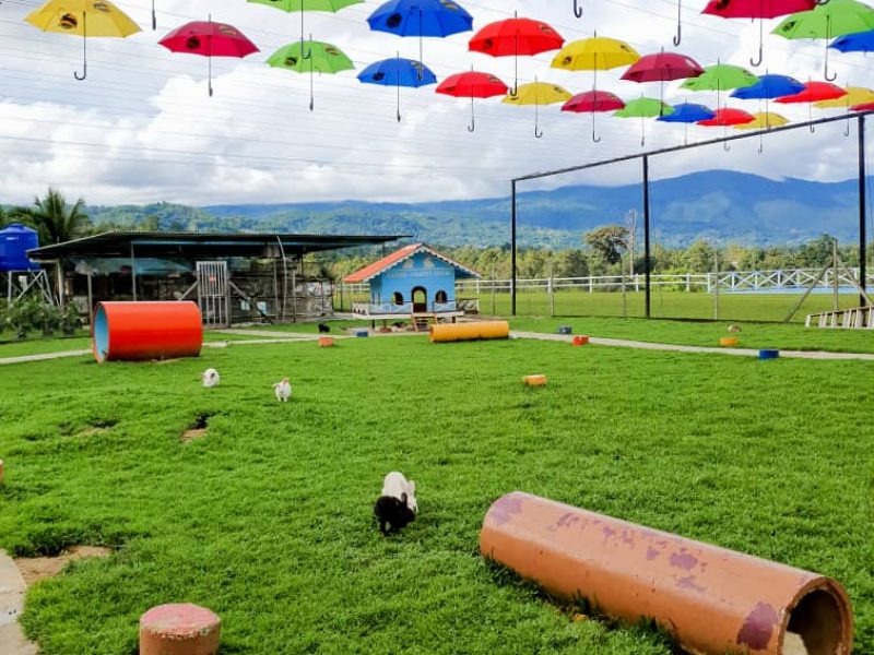 Sabah Tour & Holiday Packages 2 Days 1 Night