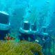 Island Hopping Package B