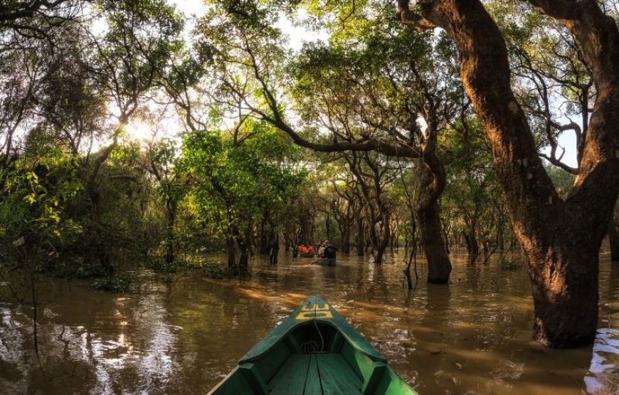 KAWA-KAWA RIVER CRUISE