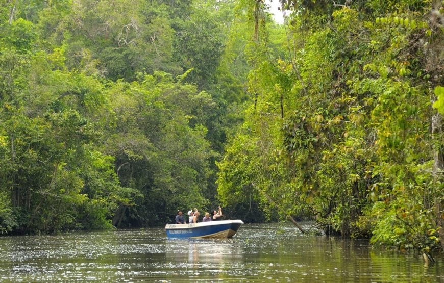 KAWA-KAWA RIVER CRUISE