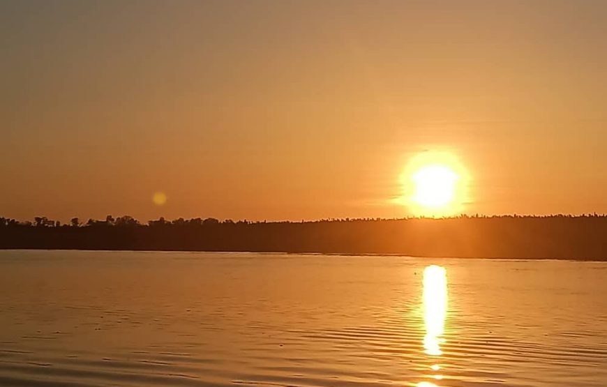 WESTON WETLAND MONKEY & FIREFLIES CRUISE