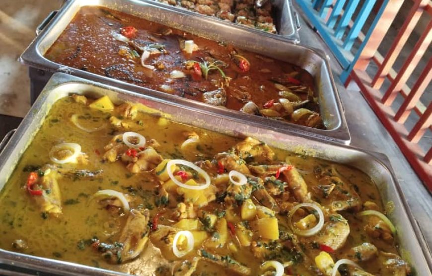 WESTON WETLAND MONKEY & FIREFLIES CRUISE