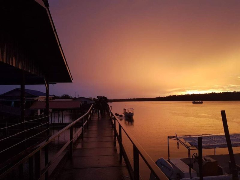 WESTON WETLAND MONKEY & FIREFLIES CRUISE