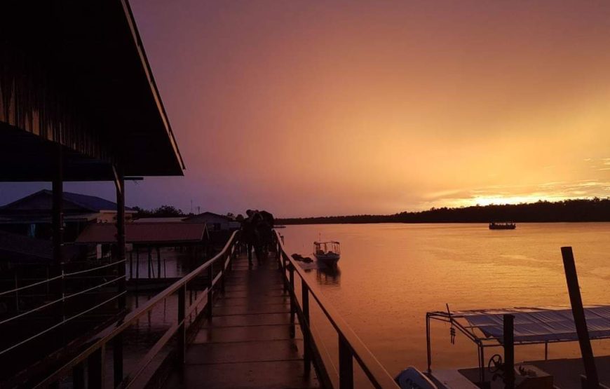 WESTON WETLAND MONKEY & FIREFLIES CRUISE