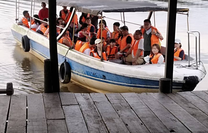 WESTON WETLAND MONKEY & FIREFLIES CRUISE